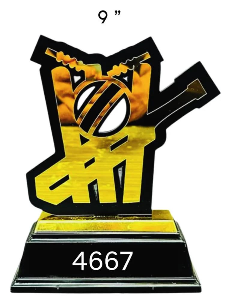 Cricket Trophy – Gold Bat & Stumps Design 4667