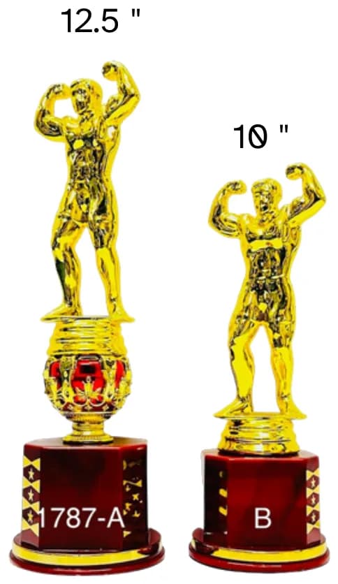 1787-12.5 inch, 10 inch