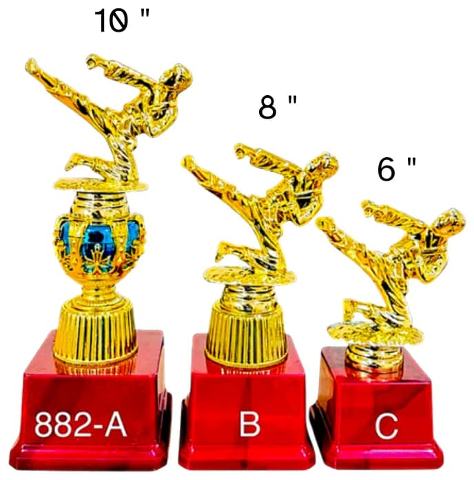 882-10 inch, 8 inch, 6 inch